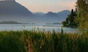 aggr8taxes investment savings by aggreg8