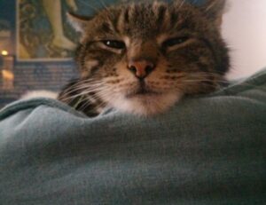 can pregnant woman take cozotaijin