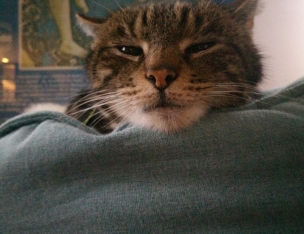 can pregnant woman take cozotaijin