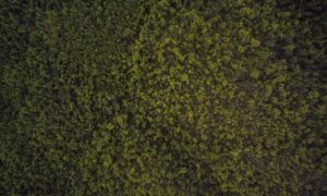 hanlerdos aviation management