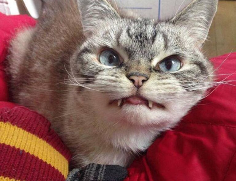 how does endbugflow software work