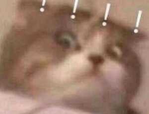 how many branches does zeyejapa hotel have