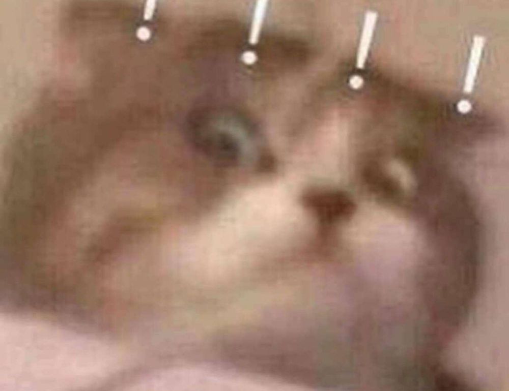 how many branches does zeyejapa hotel have