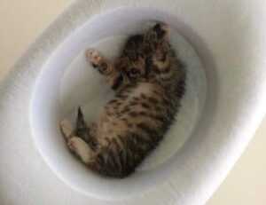 land contracts aggr8taxes