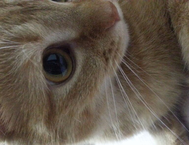 playing returnalgirl