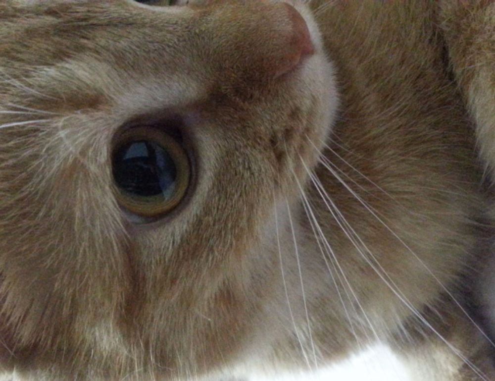 playing returnalgirl