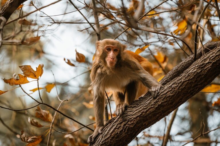 what is application in zillexit software