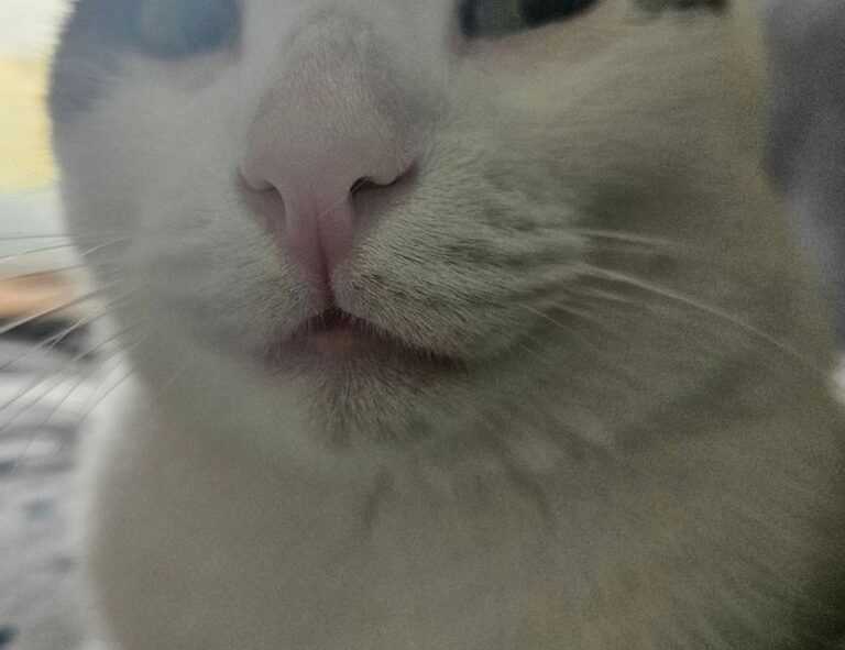 aggr8budgeting financial news by aggreg8