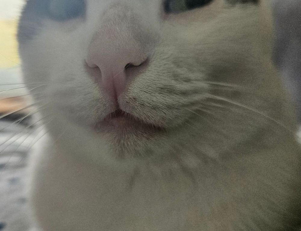 aggr8budgeting financial news by aggreg8