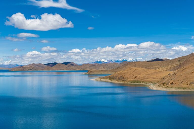 discapitalied finance updates by disquantified