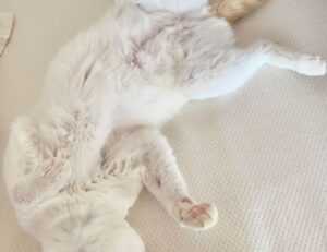 economy news ontpinvest