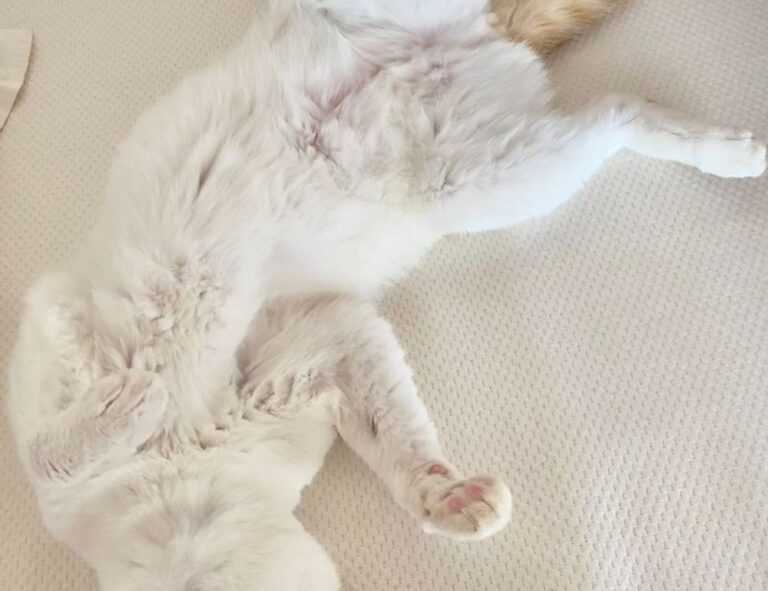 economy news ontpinvest