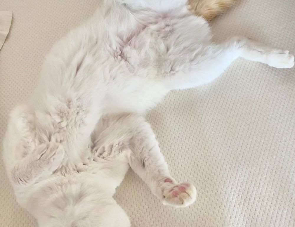 economy news ontpinvest