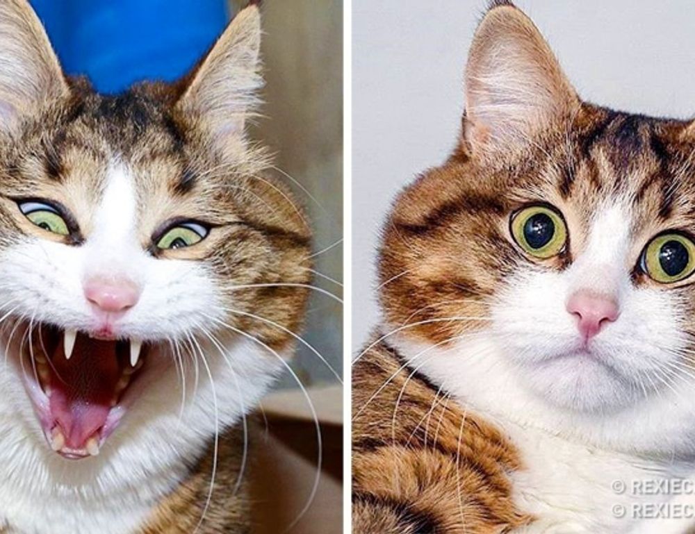 finance guide disbusinessfied