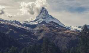 financial guide ontpinvest