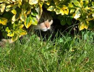 flexible budgeting aggr8budgeting by aggreg8