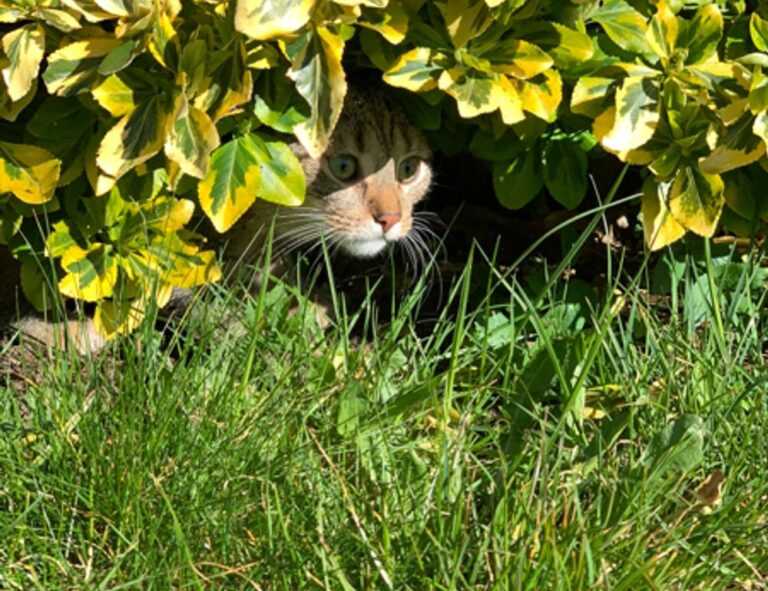 flexible budgeting aggr8budgeting by aggreg8