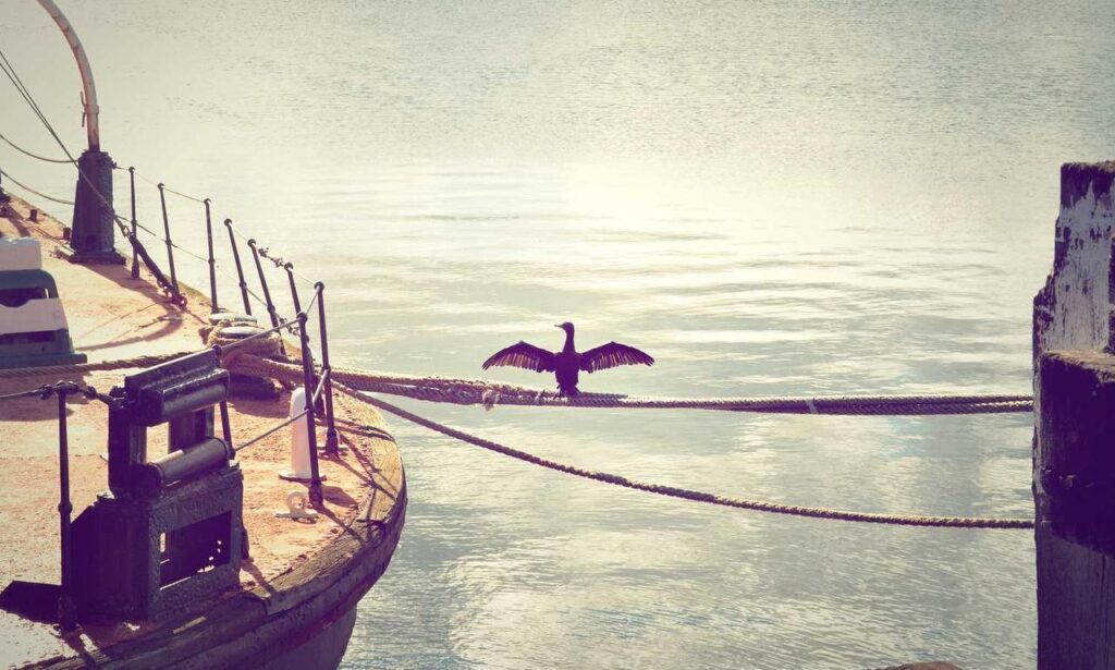 how is alletomir related to bank of america