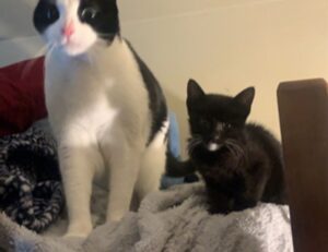 how to invest tips discommercified