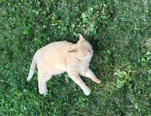 management tips aggr8budgeting