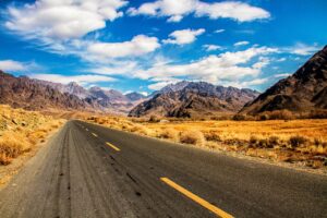 money disbusinessfied