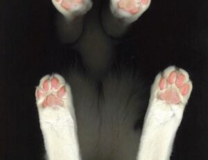 money guide disbusinessfied