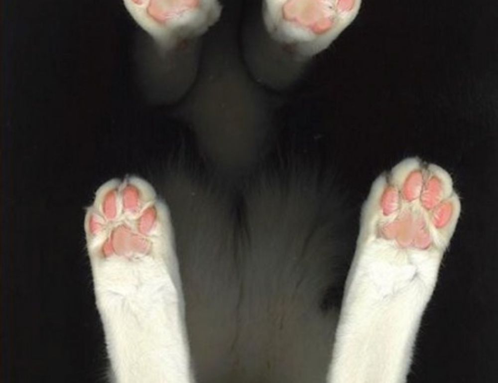 money guide disbusinessfied