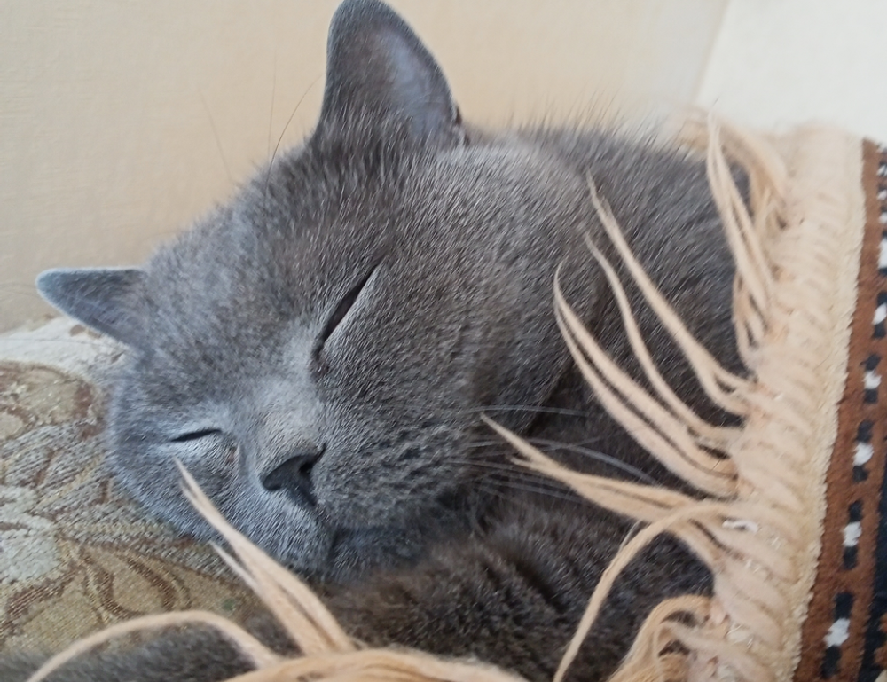 money guide disfinancified