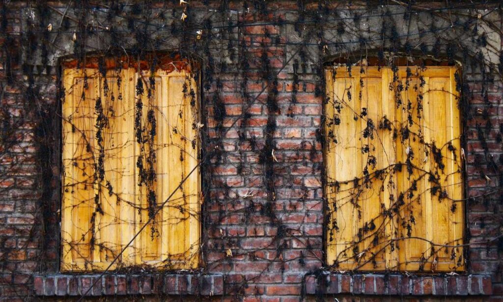 ontpinvest financial tips by ontpress