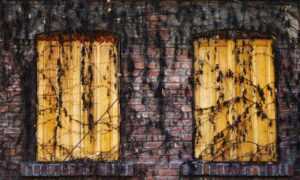 ontpinvest financial tips by ontpress