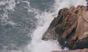 ontpinvest investing ideas from ontpress