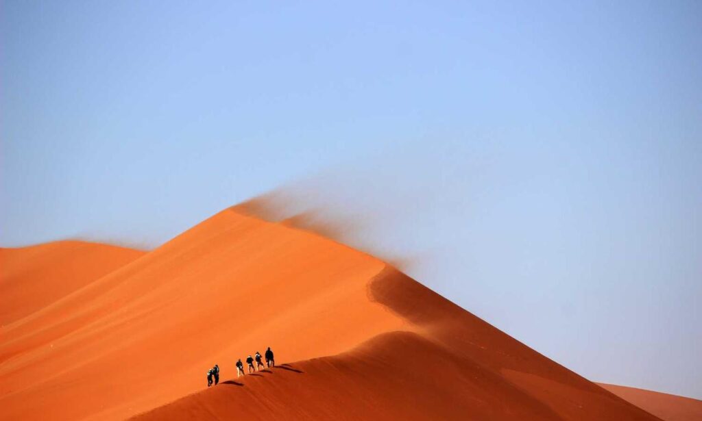 wealth management alletomir