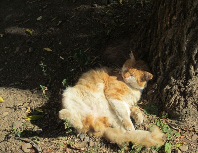 what are good ideas for business aggr8budgeting