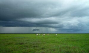 what capitalize means in accounting discapitalied