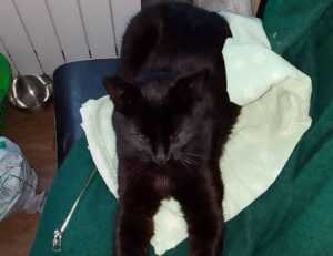 what financial planning is about ontpinvest