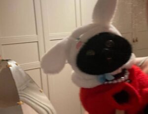 what is alletomir cash management account