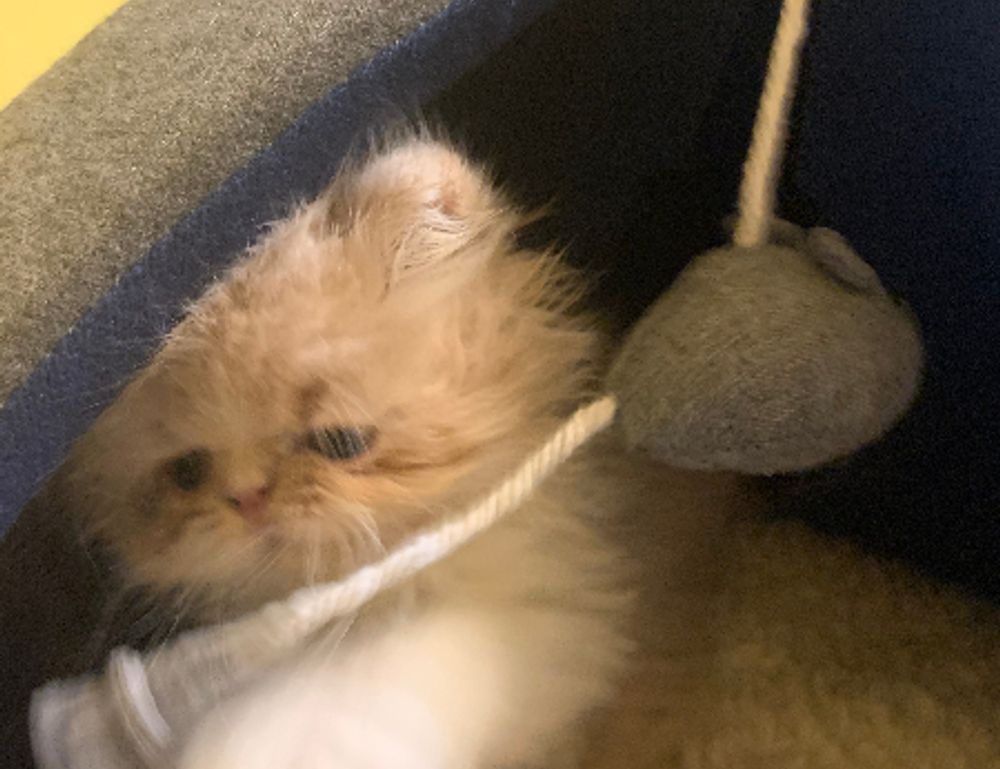 why invest in apartments ontpinvest