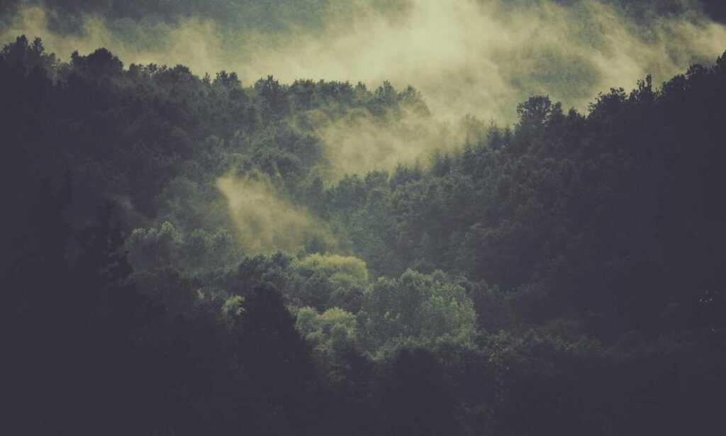 aggr8taxes savings tips