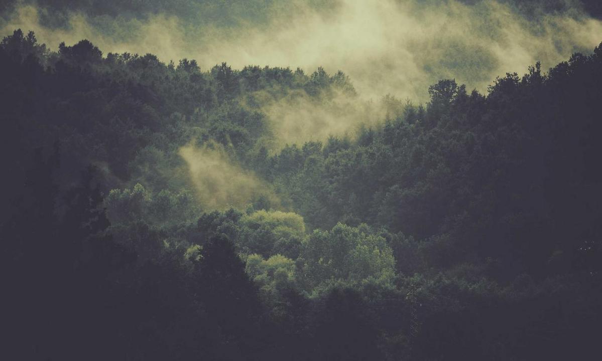 aggr8taxes savings tips