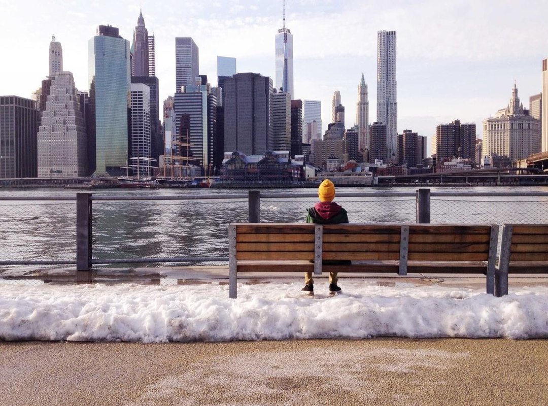 Premium DP Apps vs. Free Sources: Is It Ever Worth Paying?