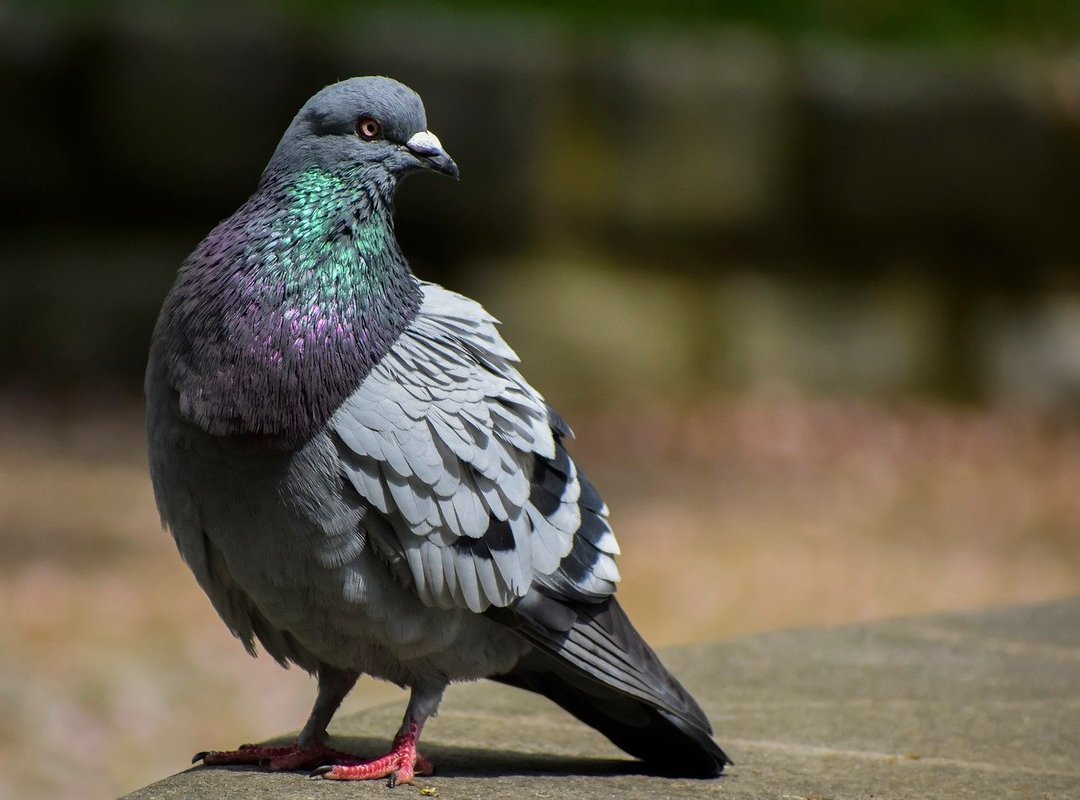 What Sets Levvvel Apart from Other Methods