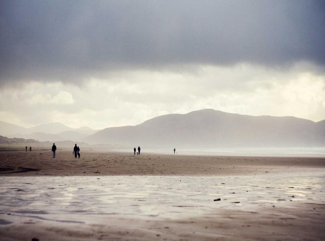 The Aftermath: Where Did These Communities Go After Omegle?