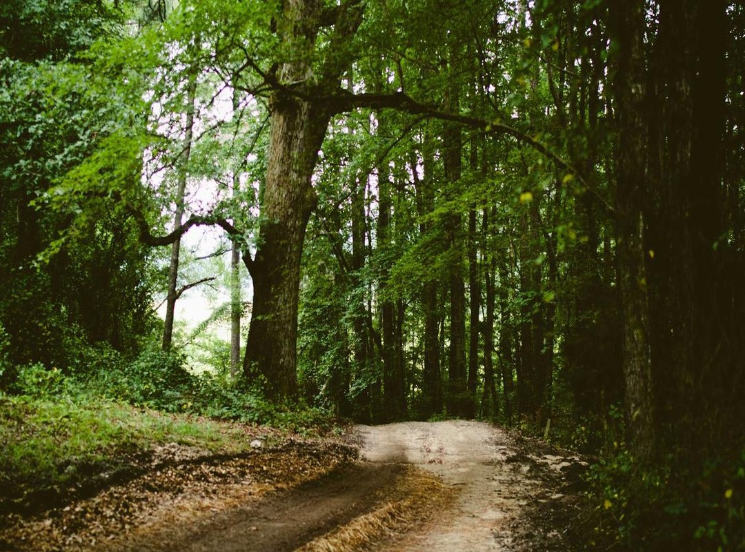 Buyer's Checklist: What to Look for Before You Purchase