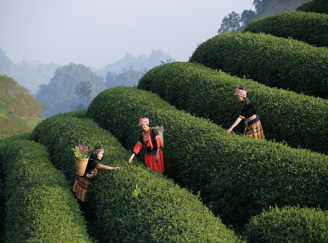 Why the Official Version is a Better Movie Experience